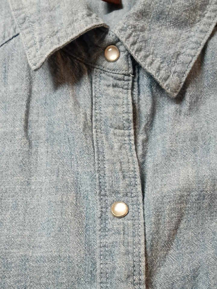 Bit & Bridle Light Blue Sleeveless Chambray Top